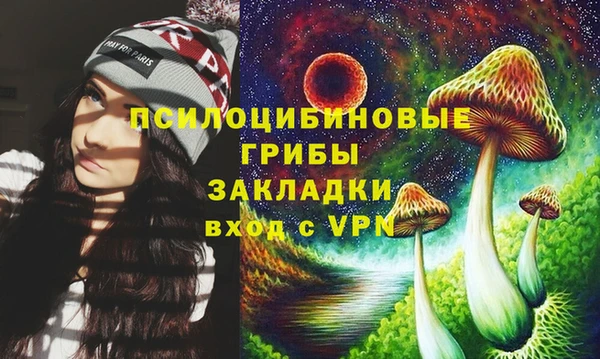 spice Абаза